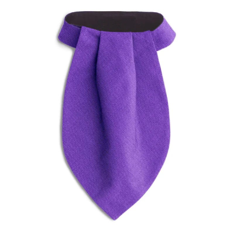 affordable designer silk necktie colors-Colinette Violet - Ascots