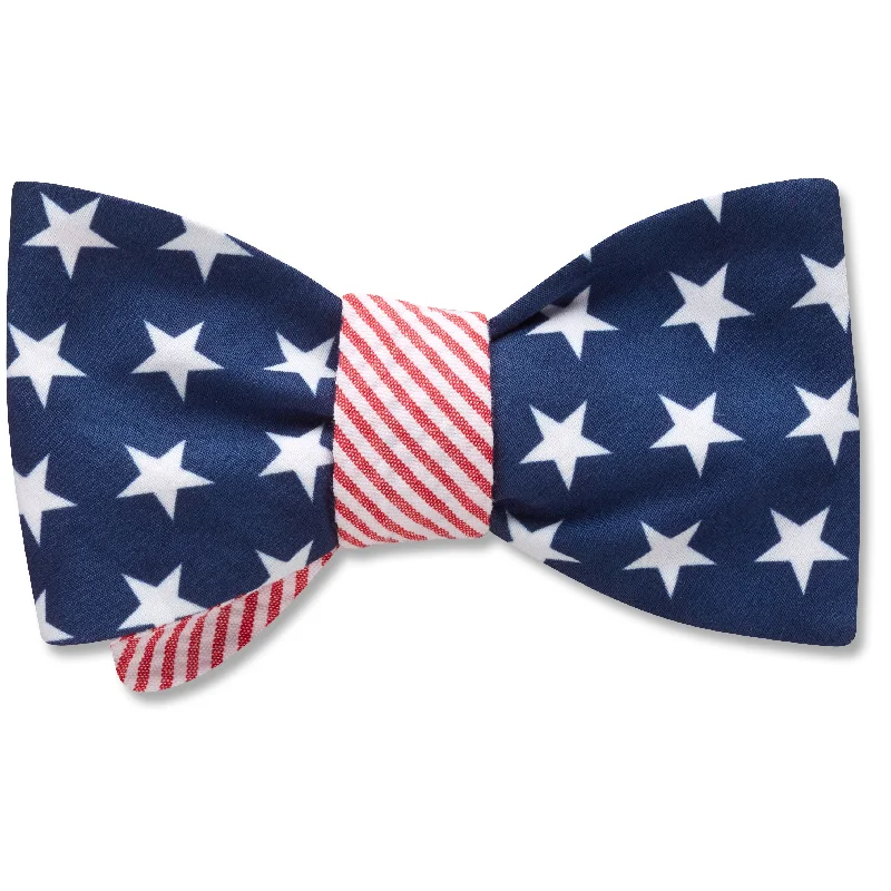 stylish office silk necktie combinations-Flagley - Reversible bow ties