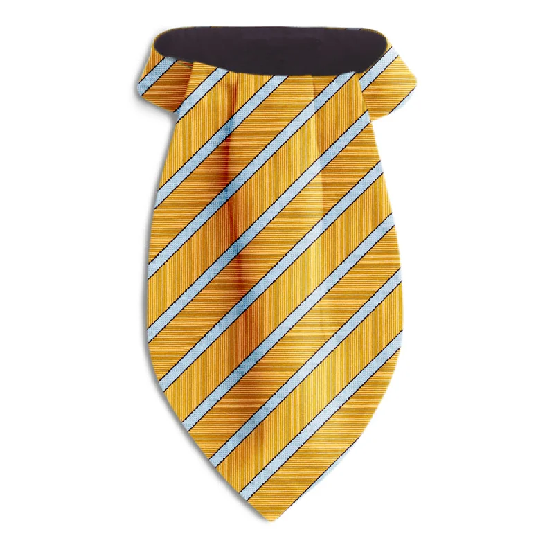 classic silk necktie styles for men-Golden Valley - Ascots