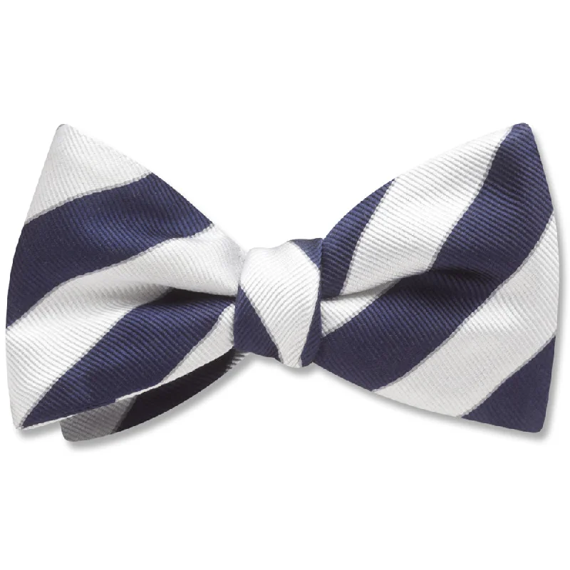 trendy business silk bow tie sets-Scholastic Blue/White - bow ties