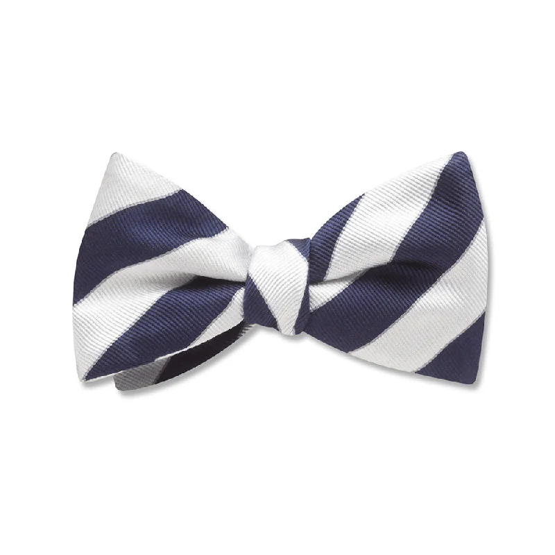 fashionable silk necktie ideas for men-Scholastic Blue/White - Kids' Bow Ties