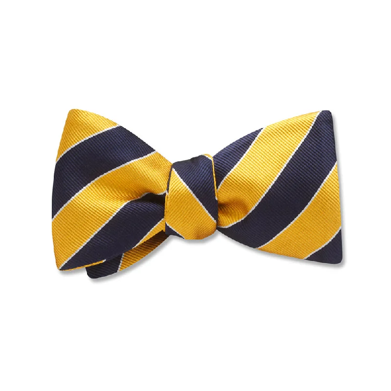 stylish silk necktie combinations for weddings-Scholastic Navy/Gold - Kids' Bow Ties