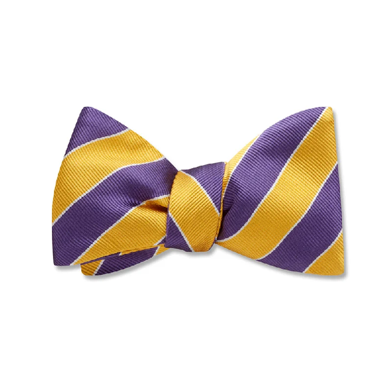 business silk necktie designs for weddings-Scholastic Purple/Gold - Kids' Bow Ties