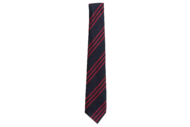 designer silk necktie packs for office wear-Striped Tie - Holy Family College