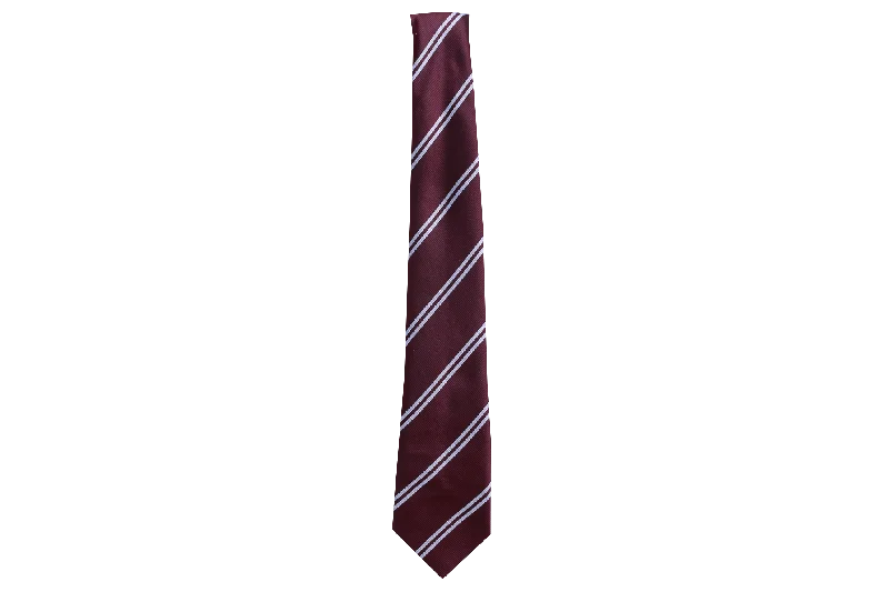 vibrant silk necktie sets for office wear-Striped Tie - Nonkwenk