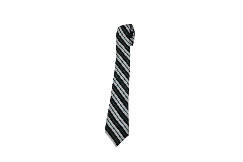 slim-fit silk neckties for office wear-Striped Tie - Northlands