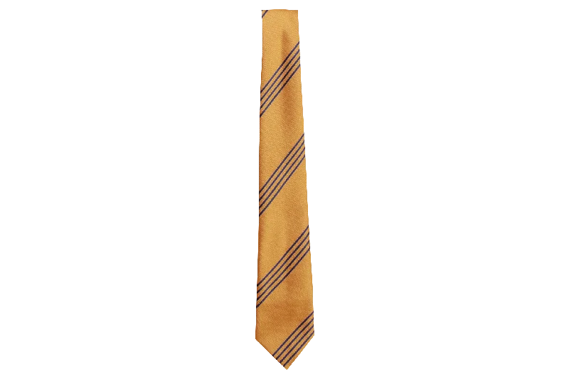 stylish silk necktie ideas for business wear-Striped Tie - Parkvale